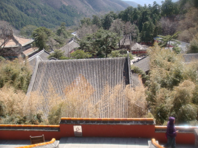 ‘beat365官网中文’《五月天陪你守岁》精心打造怀旧大街 与歌迷过“鼠”于五月天的新年(图2)