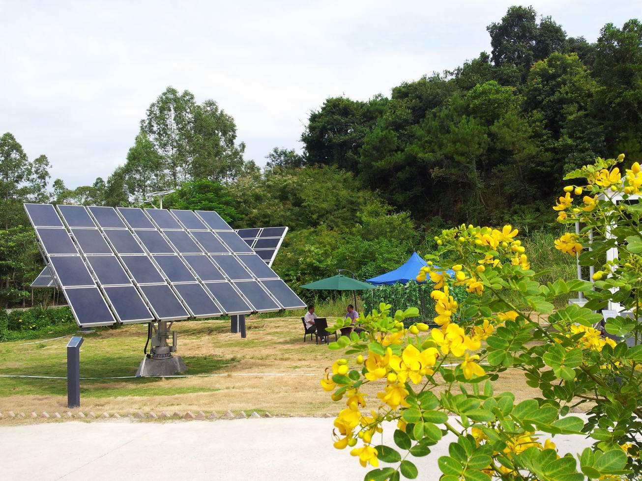 beat365:张杰实体专辑《未·LIVE》战绩骄人 预售一周获IFPI白金唱片认证(图3) beat365官网中文