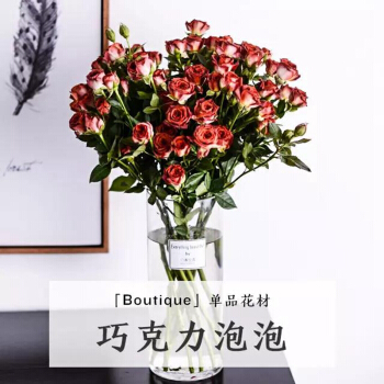 《明日之子》论战音乐之巅 厂牌之争如何打响引热议|BEAT365(图4) beat365官网中文
