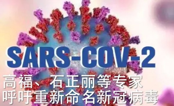 beat365官网中文|李荣浩《耳朵》:借大神的耳朵,听一场烟火气的凡人歌(图1) beat365官网中文|李荣浩《耳朵》:借大神的耳朵,听一场烟火气的凡人歌(图1)